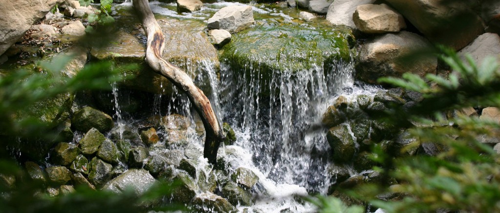 Milestones Ranch Malibu