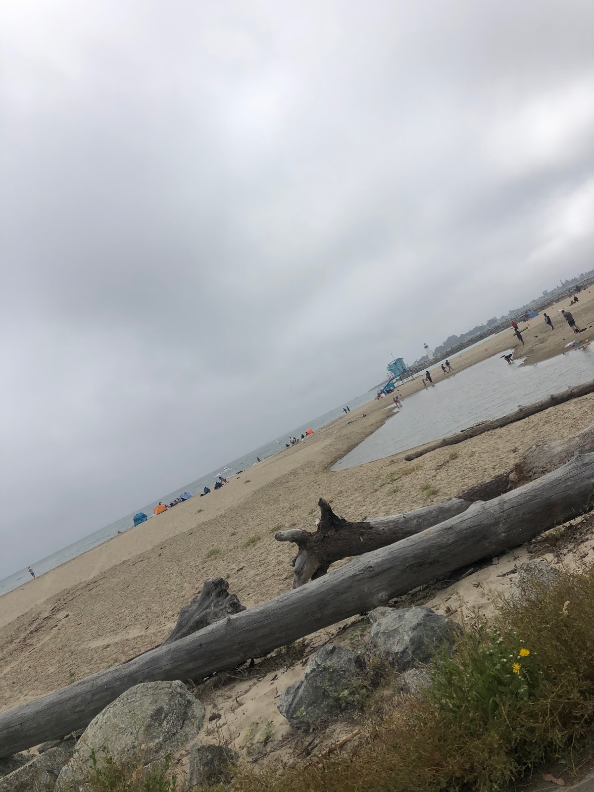 Janus of Santa Cruz - Chestnut Street