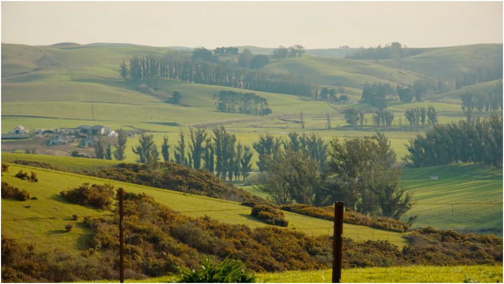 Sonoma Recovery Services - Olympia House